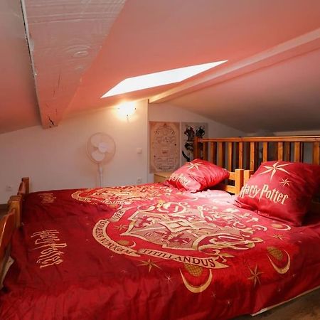 Harry Potter - Le Logis Du Petit Sorcier - Clim Apartment Carcassonne Luaran gambar